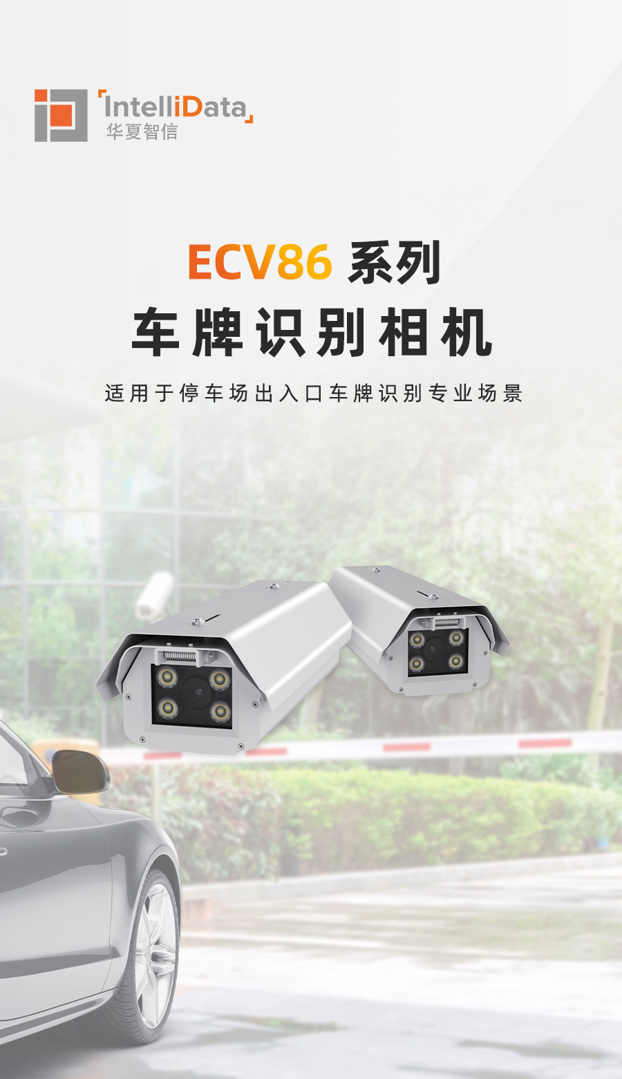ECV86-1.jpg